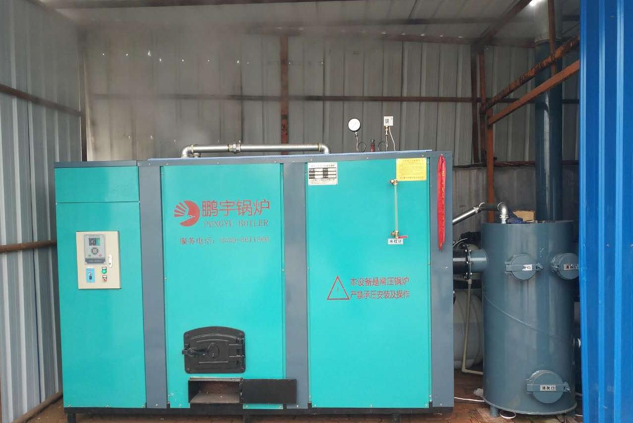 山东青岛PYQ-800蒸汽锅炉食用菌项目(002)