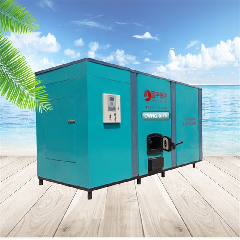 鹏宇燃煤燃颗粒燃气节能环保浴暖锅炉CWNG-0.75